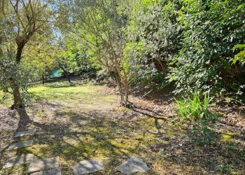 Foto 40 - Villa Orciano di Pesaro, Terre Roveresche - foto 40