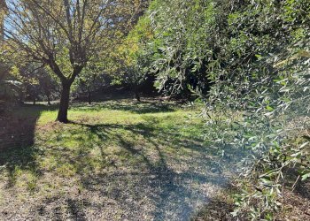 Foto 41 - Villa Orciano di Pesaro, Terre Roveresche - foto 41