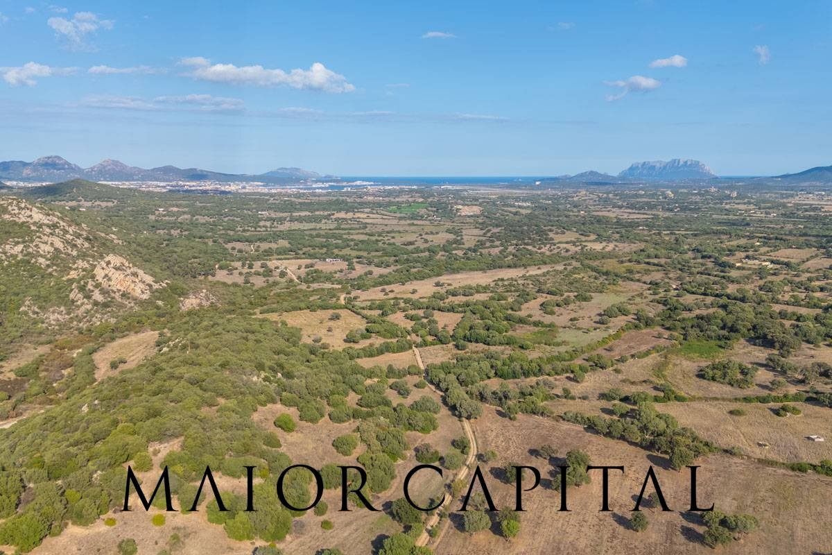 Foto 2 - Casa indipendente Via Siana, Olbia - foto 2