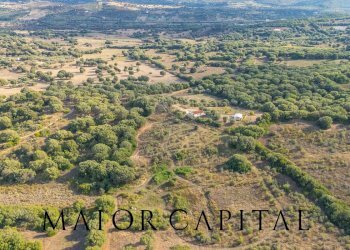 Foto 44 - Casa indipendente Via Siana, Olbia - foto 44