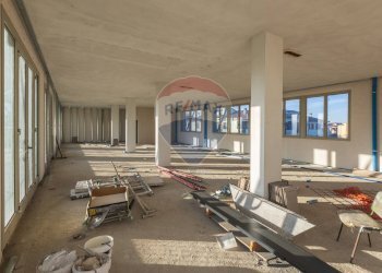 Palestra - Ufficio Loc. Parola, Fidenza - foto 4