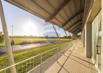 Terrazza - Ufficio Loc. Parola, Fidenza - foto 15