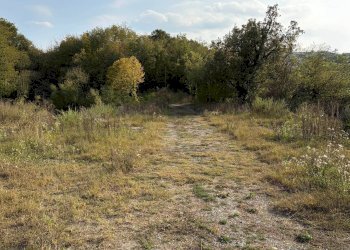 Foto 13 - Rustic Via Cascina Giustizia, Lauriano - photo 13