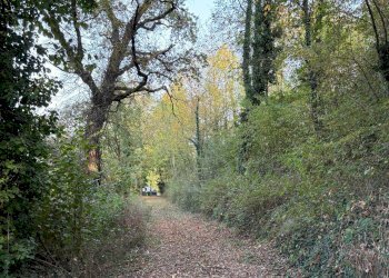 Foto 14 - Rustic Via Cascina Giustizia, Lauriano - photo 14