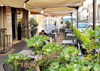 Terrazza - Bar Tavola Calda - Fredda Padova - foto 4