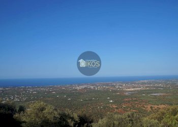 Foto 19 - Villa a Schiera Contrada Impalata
 
484, Monopoli - foto 19