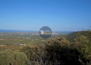 Foto 20 - Villa a Schiera Contrada Impalata
 
484, Monopoli - foto 20