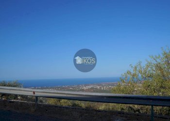 Foto 1 - Villa a Schiera Contrada Impalata
 
484, Monopoli - foto 1