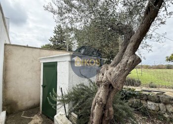 Foto 27 - Villa a Schiera Contrada Impalata
 
484, Monopoli - foto 27