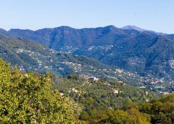 Foto 47 - Bilocale Via Aurelia, Camogli - foto 47