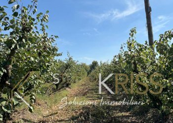 Foto 44 - Casa indipendente Via Quercia, Ferrara - foto 44