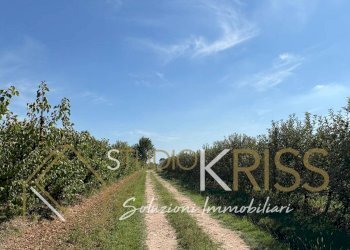 Foto 45 - Casa indipendente Via Quercia, Ferrara - foto 45