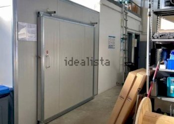 Interno non residenziale - Capannone via Lago Scaffaiolo, Carpi - foto 3