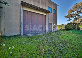 Foto 6 - Capannone Verdellino - foto 6