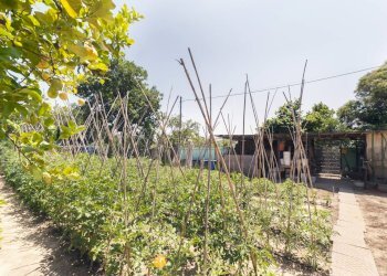 Foto 42 - Appartamento C.DA SAN SILVESTRO
 
49, Silvi - foto 42