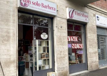 Facciata - Shop corso Grosseto, 153, Torino (neighborhood Borgo Vittoria) - photo 14