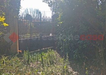 Giardino - Casa indipendente via papa giovanni xxiii, Agrate Conturbia - foto 3