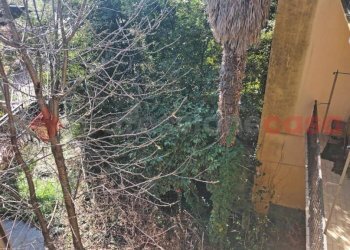 Giardino - Casa indipendente via papa giovanni xxiii, Agrate Conturbia - foto 14