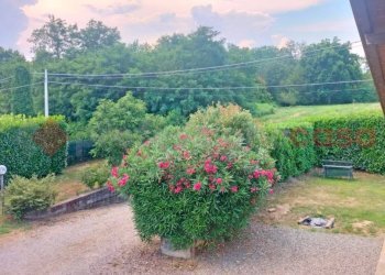 Giardino - Villa via fasana, Borgomanero - foto 15