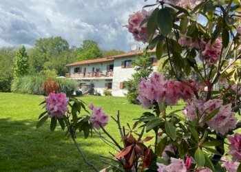 Giardino - Rustico via cima motto, Arona - foto 23