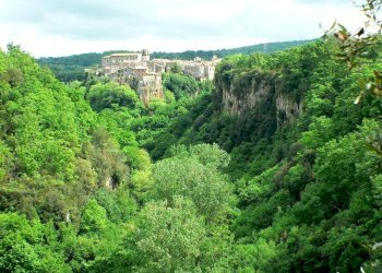 Foto 5 - Casa indipendente VIA DI PORTA CANALE
 
25, Barbarano Romano - foto 5