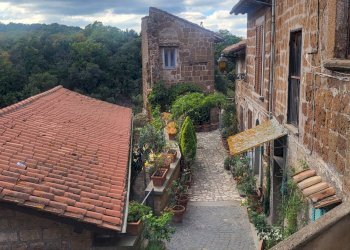 Foto 41 - Casa indipendente VIA DI PORTA CANALE
 
25, Barbarano Romano - foto 41