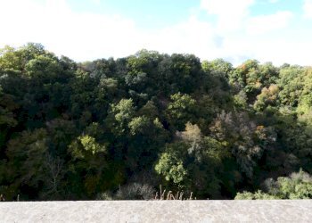 Foto 52 - Casa indipendente VIA DI PORTA CANALE
 
25, Barbarano Romano - foto 52