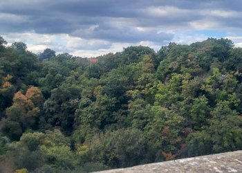 Foto 51 - Casa indipendente VIA DI PORTA CANALE
 
25, Barbarano Romano - foto 51