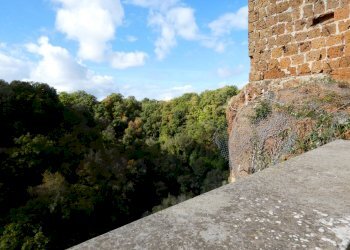 Foto 53 - Casa indipendente VIA DI PORTA CANALE
 
25, Barbarano Romano - foto 53