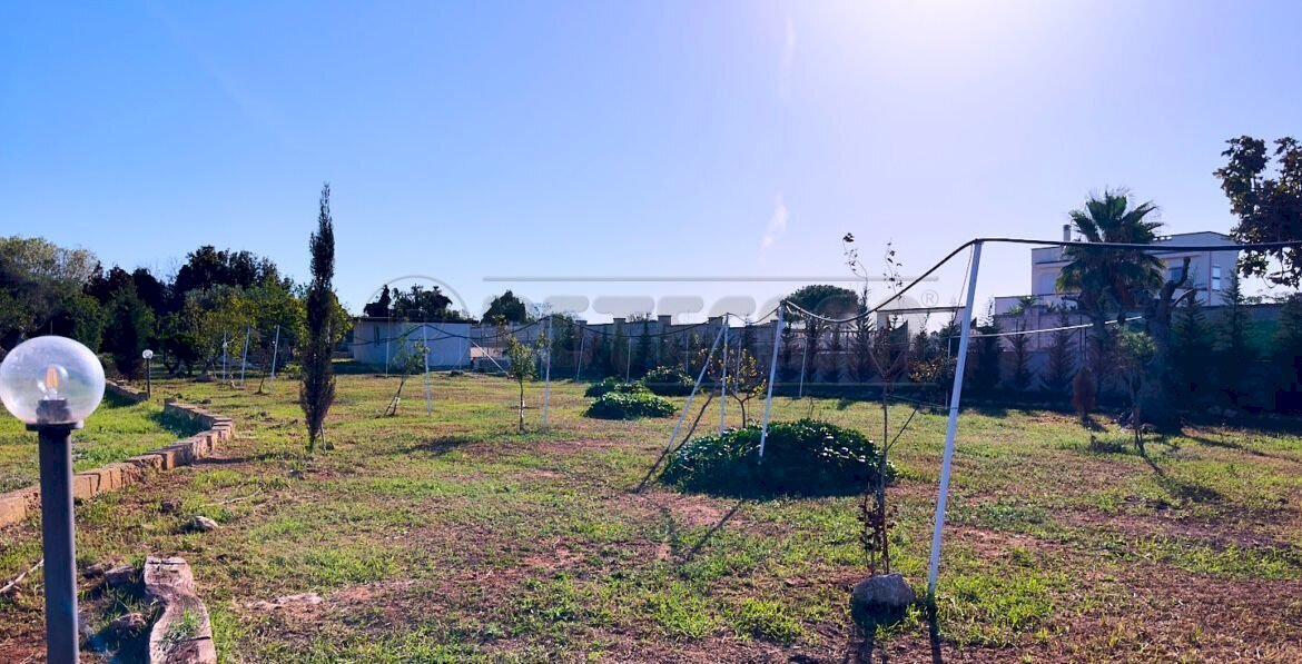 1759420685003.jpg - Agricultural land Via Stefano Catalano 5, Gallipoli - photo 2