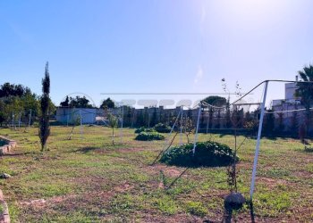 1759420685003.jpg - Agricultural land Via Stefano Catalano 5, Gallipoli - photo 2