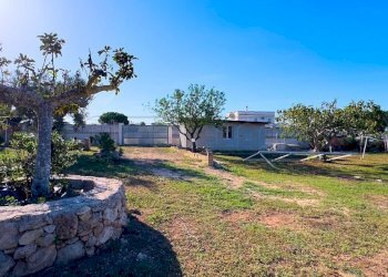 1759420713439.jpg - Agricultural land Via Stefano Catalano 5, Gallipoli - photo 5