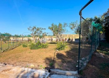 1759420713446.jpg - Agricultural land Via Stefano Catalano 5, Gallipoli - photo 6