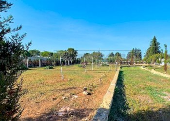 1759420713462.jpg - Agricultural land Via Stefano Catalano 5, Gallipoli - photo 8