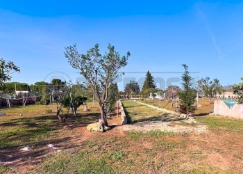 1759420740194.jpg - Agricultural land Via Stefano Catalano 5, Gallipoli - photo 9