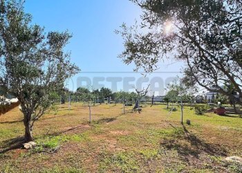 1759420740203.jpg - Agricultural land Via Stefano Catalano 5, Gallipoli - photo 10