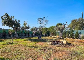 1759420740209.jpg - Agricultural land Via Stefano Catalano 5, Gallipoli - photo 11