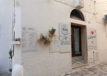 1757519674092.jpg - Commercial Premises Via Carmine Fontò 7, Gallipoli - photo 5