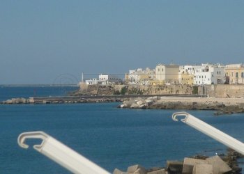 P1030806.JPG - Appartamento Lungomare Galileo Galilei 5, Gallipoli - foto 26