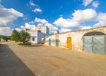 magazzino - Casale Contrada Cristo delle Zolle 209, Monopoli - foto 30