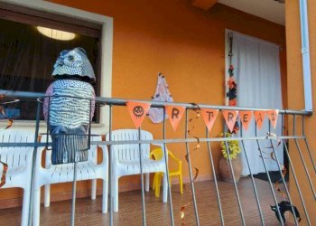 IMG-20251029-WA0019.jpg - Casa semi indipendente Aulla - foto 1