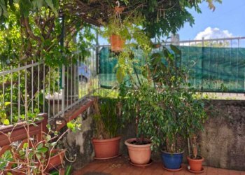 IMG-20251002-WA0032.jpg - Porzione di casa Fivizzano - foto 8