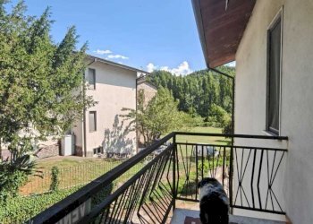 IMG-20250721-WA0055.jpg - Casa semi indipendente Fivizzano - foto 23