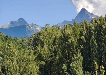 IMG-20250721-WA0059.jpg - Casa semi indipendente Fivizzano - foto 28