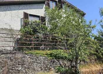 IMG-20250721-WA0024.jpg - Villa Fivizzano - foto 26