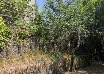 IMG-20250721-WA0028.jpg - Villa Fivizzano - foto 30