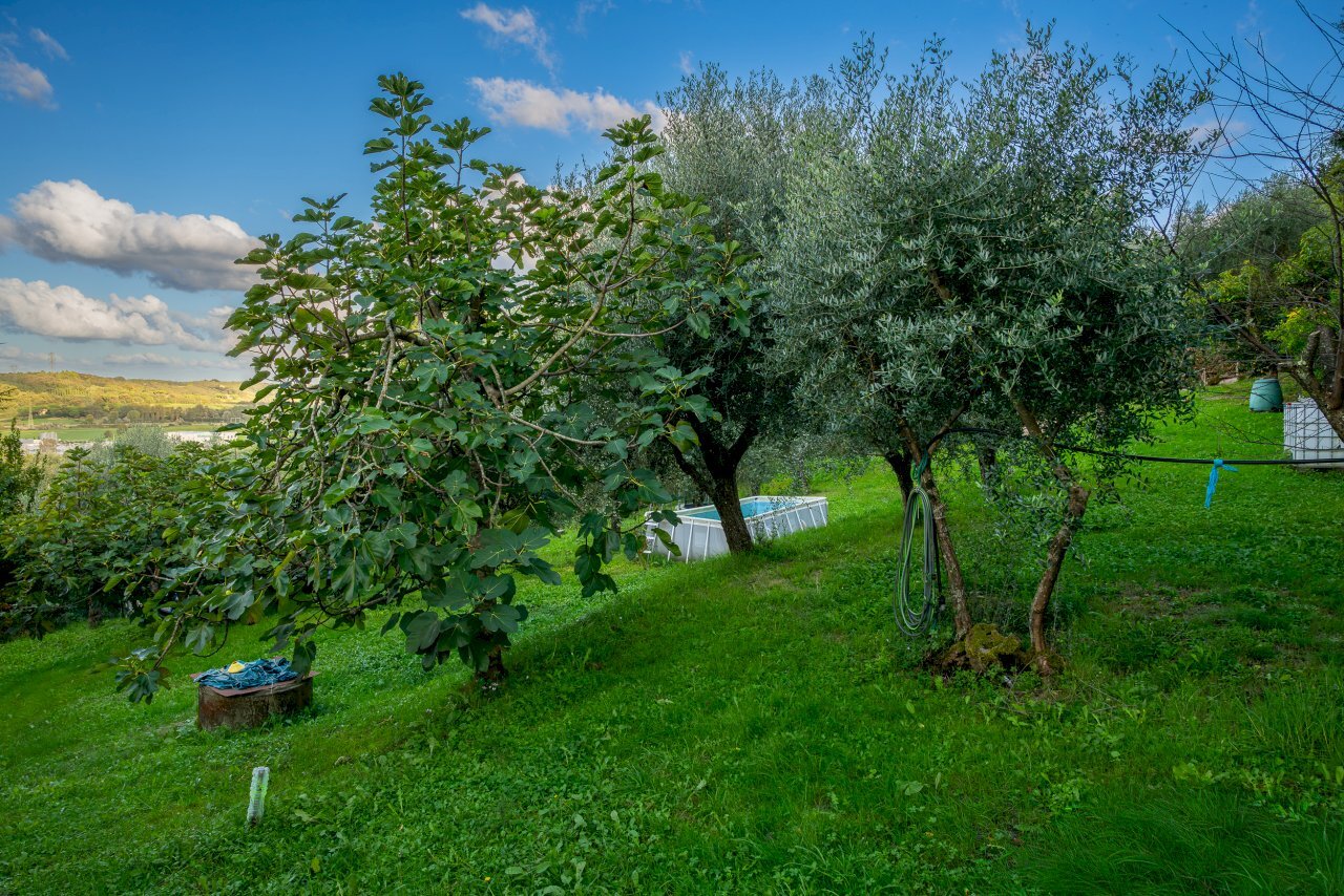 _CMN1221.jpg - Villa Via Delle Corti, Collesalvetti - foto 2