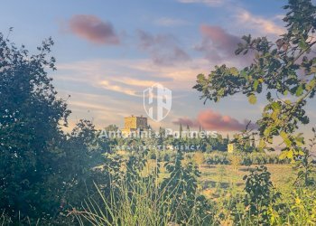 casale il colombaccio 15.jpg - Casale Via del Furioso, Monte Castello di Vibio - foto 11