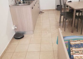 IMG-20241004-WA0006.jpg - Stable - Palace Torino (neighborhood Cenisia) - photo 17