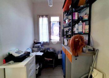 Negozio via roma, Tavullia - foto 12